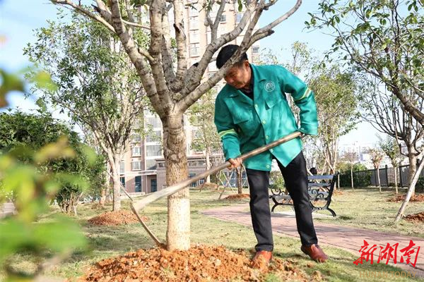 永州市冷水滩区：奋力谱写环卫园林事业高质量发展新篇章