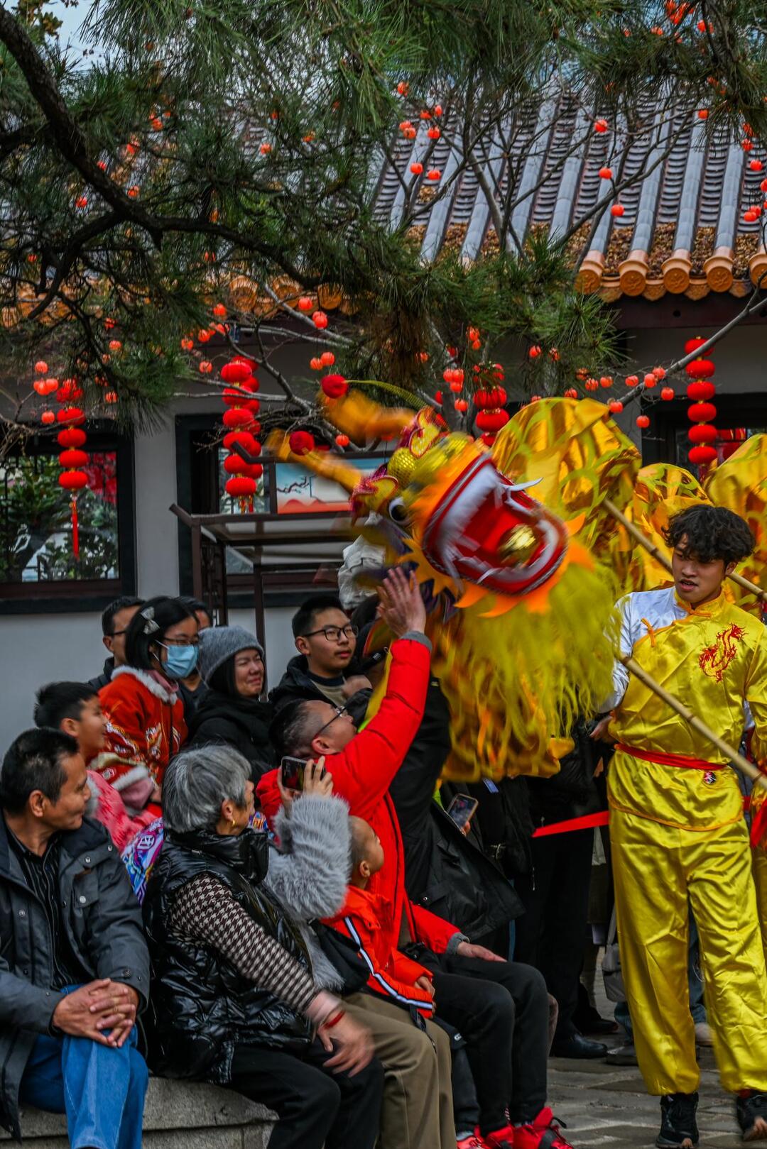 春节氛围感“拉满”！天心年味儿正浓