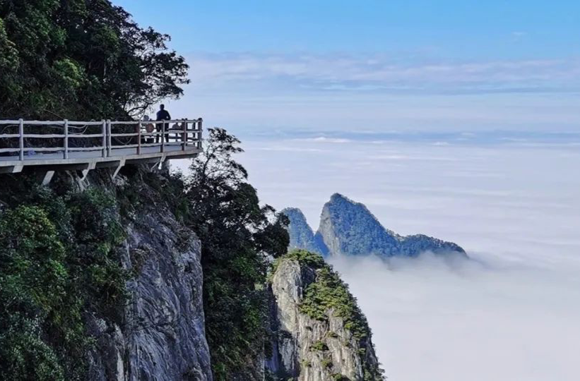 “郴”味中国年丨就地过年去哪玩？莽山这份出游指南快收藏，好吃好喝好玩让你嗨嗨嗨……