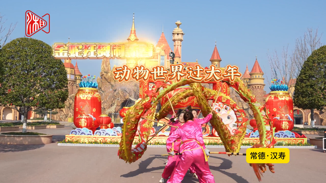 常德年味儿｜动物世界过大年，蛇都变得可爱了，真是人与自然和谐之美