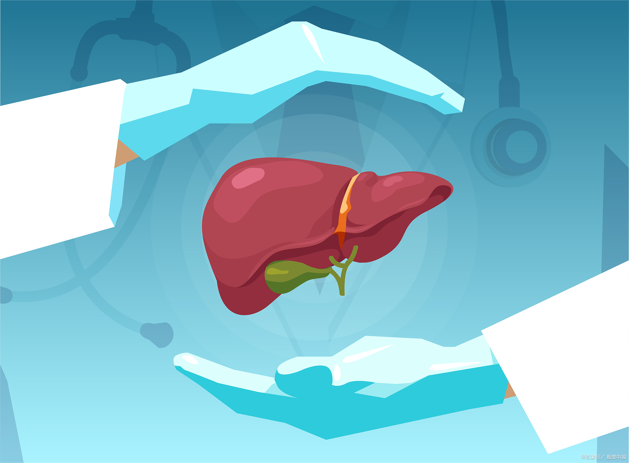 保肝不踩雷，这份护肝指南请收好→