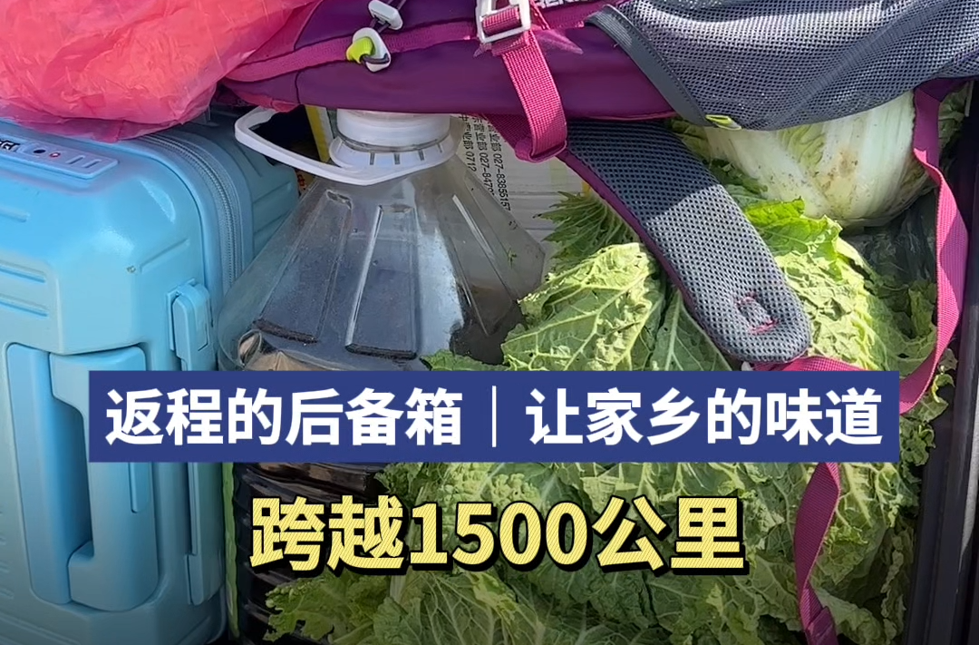 返程的后备箱 | 怀化到上海，让家乡味道穿越1500公里