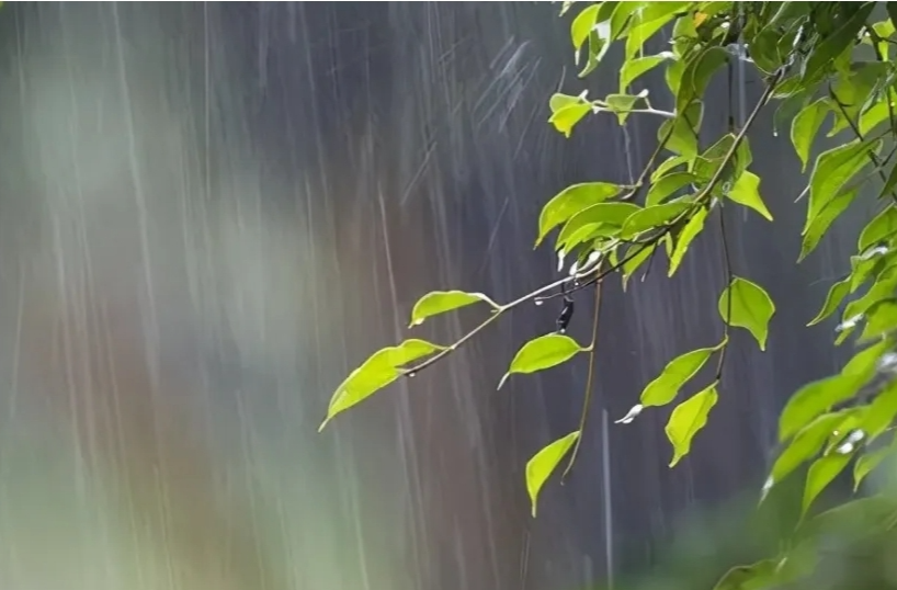 今明两天湖南阴雨天气持续 8日天气转好