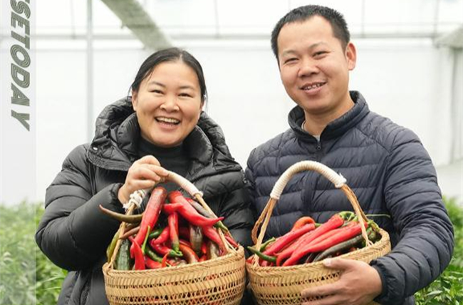 Building a Hot Business with Hot Peppers