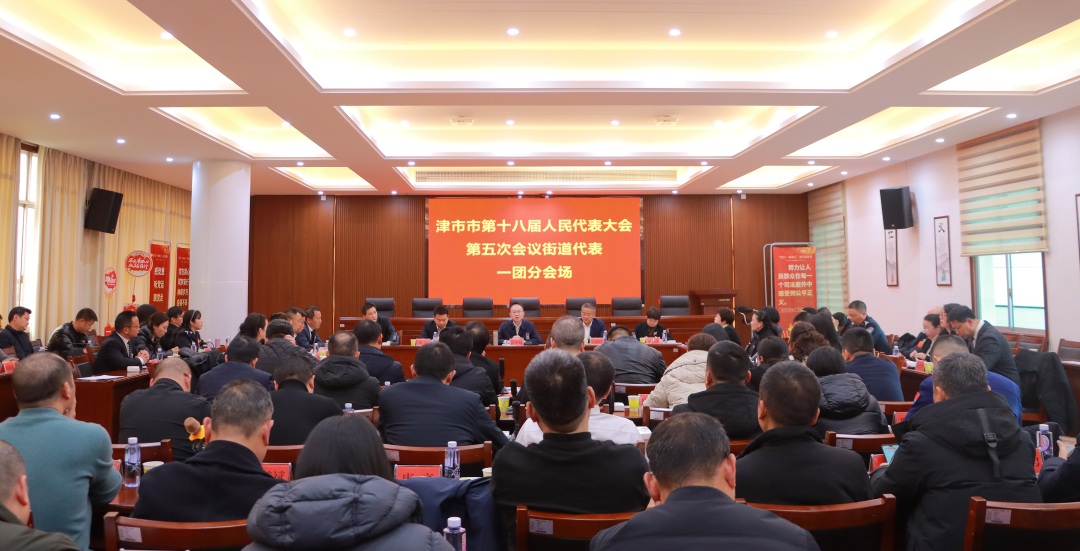 津市市第十八届人民代表大会第五次会议各代表团举行分团活动