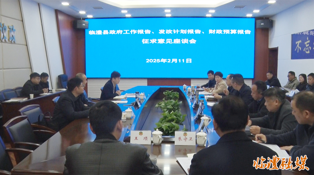 胡彬彬就《政府工作报告（征求意见稿）》征求政协委员意见建议