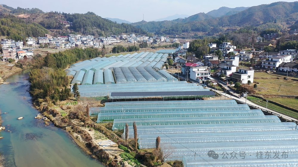 开年就开战 聚力加油干丨桂东寨前镇：抢抓时节备春耕 蔬菜基地春意浓