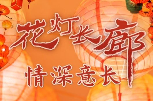 学习进行时丨花灯长廊 情深意长