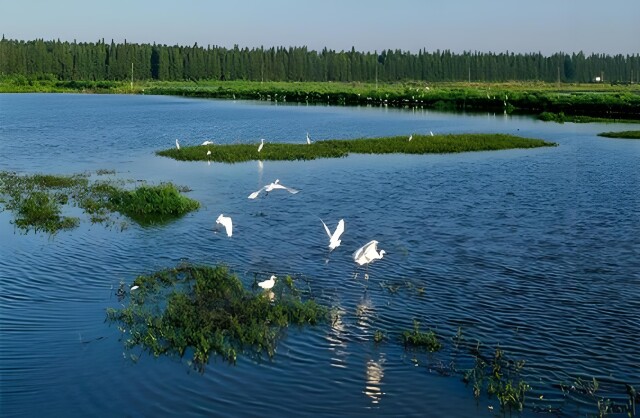 Yueyang Accredited as an 