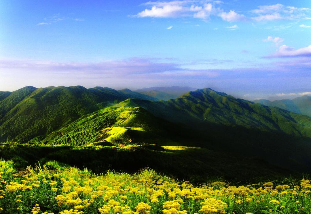 龍景波：南山國家公園的生態(tài)逐光者