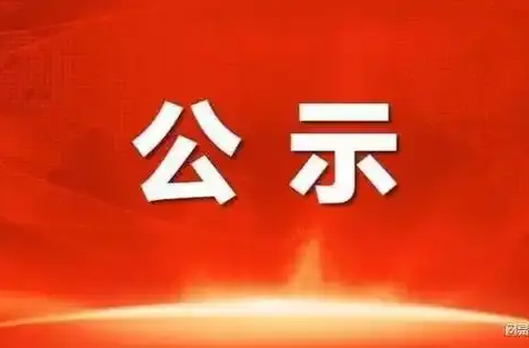 湖南日报社参评2024年度湖南新闻奖国际传播作品公示