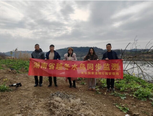 不仅数量增多，还有诸多惊喜—— 来自越冬候鸟监测的“新发现”