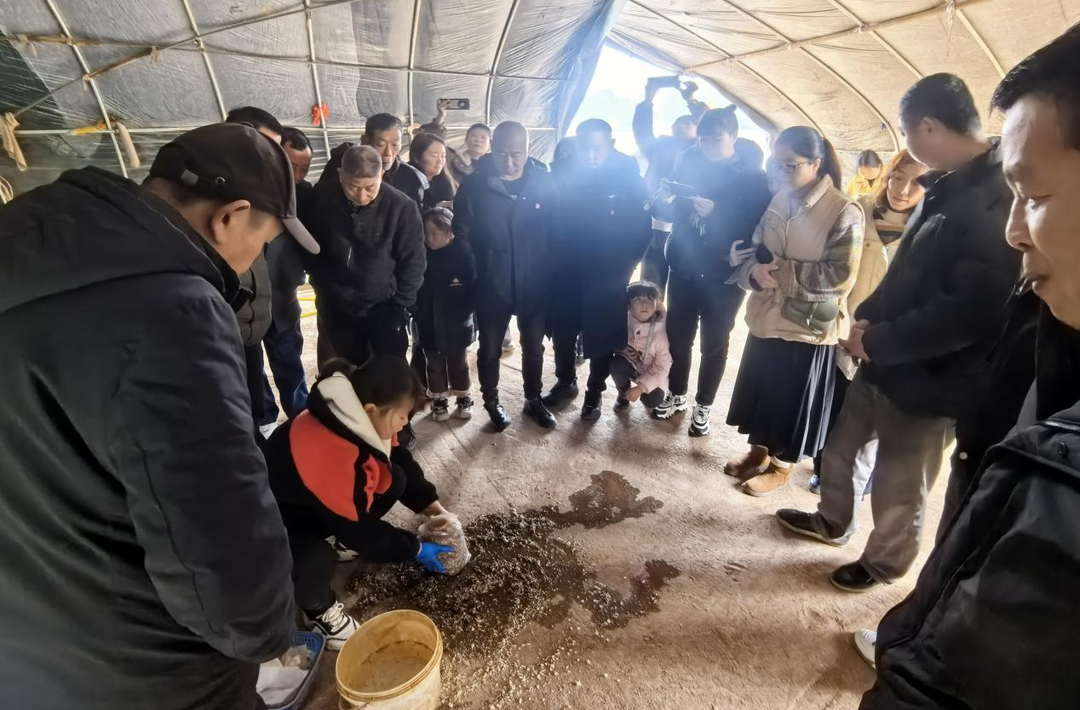 荷塘區(qū)丨“田間課堂”開講 食用菌種植技術(shù)深耕鄉(xiāng)村沃土