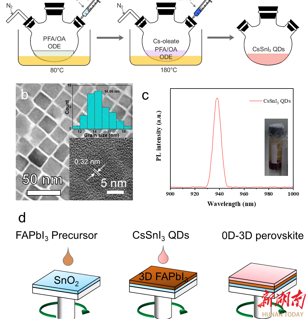 南华大学王行柱与刘畅团队在Advanced Energy Materials发表最新研究成果