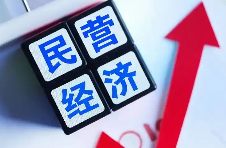 政策不打折扣 解决痛点难点 促进民营经济发展壮大接下来怎么干