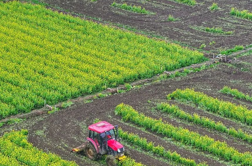 看湖南！春耕热热闹闹，丰收“序曲”已奏响