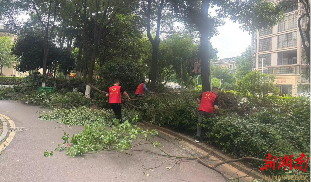 黨建“同心圓”繪就幸福畫卷！湘潭這個社區(qū)何以成為群眾的幸福家園