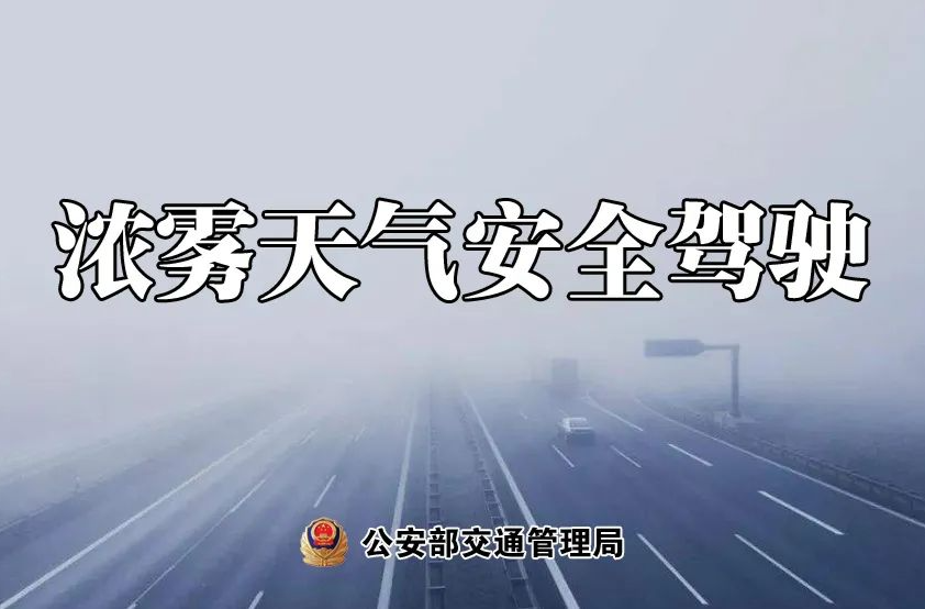 最低4℃！大雾黄色预警！雨夹雪！出行请注意↓