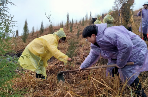 新田：党群同心添新绿 共建生态美丽乡村