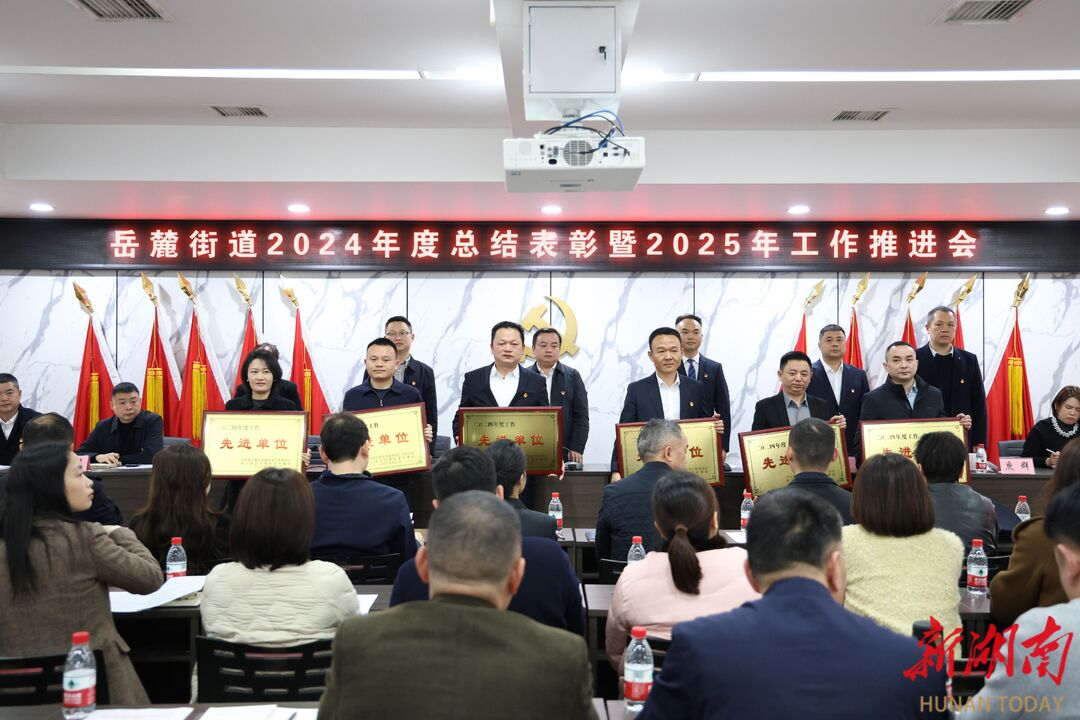 凝心聚力高质量 携手同行谱新篇——岳麓街道举行2024年度总结表彰暨2025年工作推进会