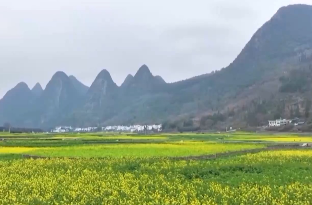 中央一号文件发布 有何新亮点？
