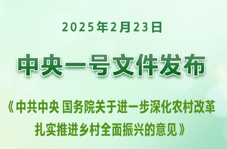 新华鲜报·中央一号文件|首提发展农业新质生产力，中央一号文件这样点题