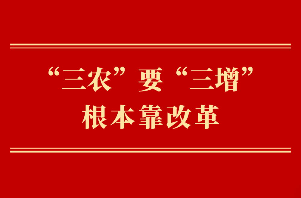 第一观察丨“三农”要“三增”　根本靠改革