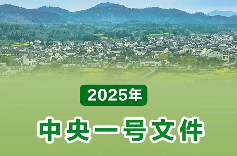 @民政人，2025年中央一号文件这些内容与你有关