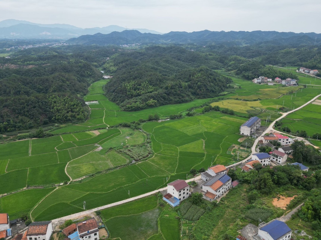 三湘時評丨盤活“三塊地”，鼓起“錢袋子”