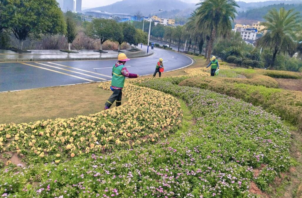 春季施肥正当时 郴州园林繁花可期