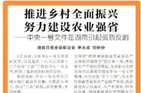 推进乡村全面振兴 努力建设农业强省——中央一号文件在湖南引起强烈反响