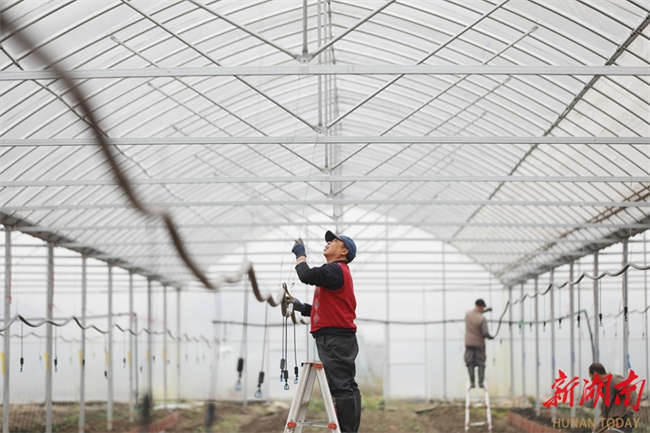 Farmers Busy with Early Spring Farming