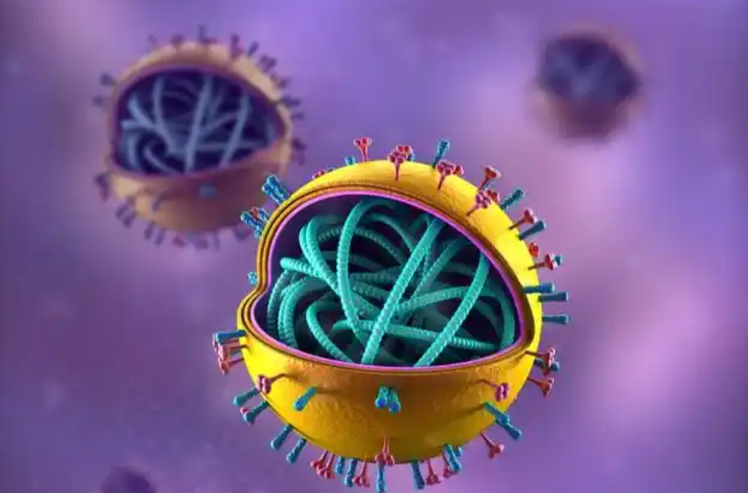 这种病毒常在托幼机构和学校传播！这样防控