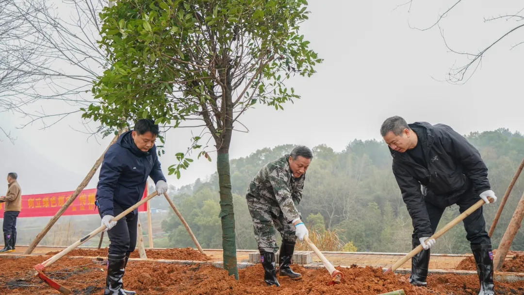 为春天充“植”！娄底经开区开展全民义务植树活动