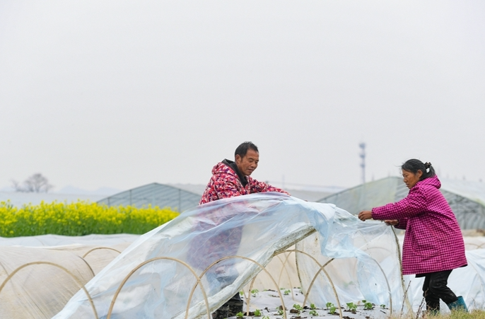 Farmers Busy with Early Spring Farming