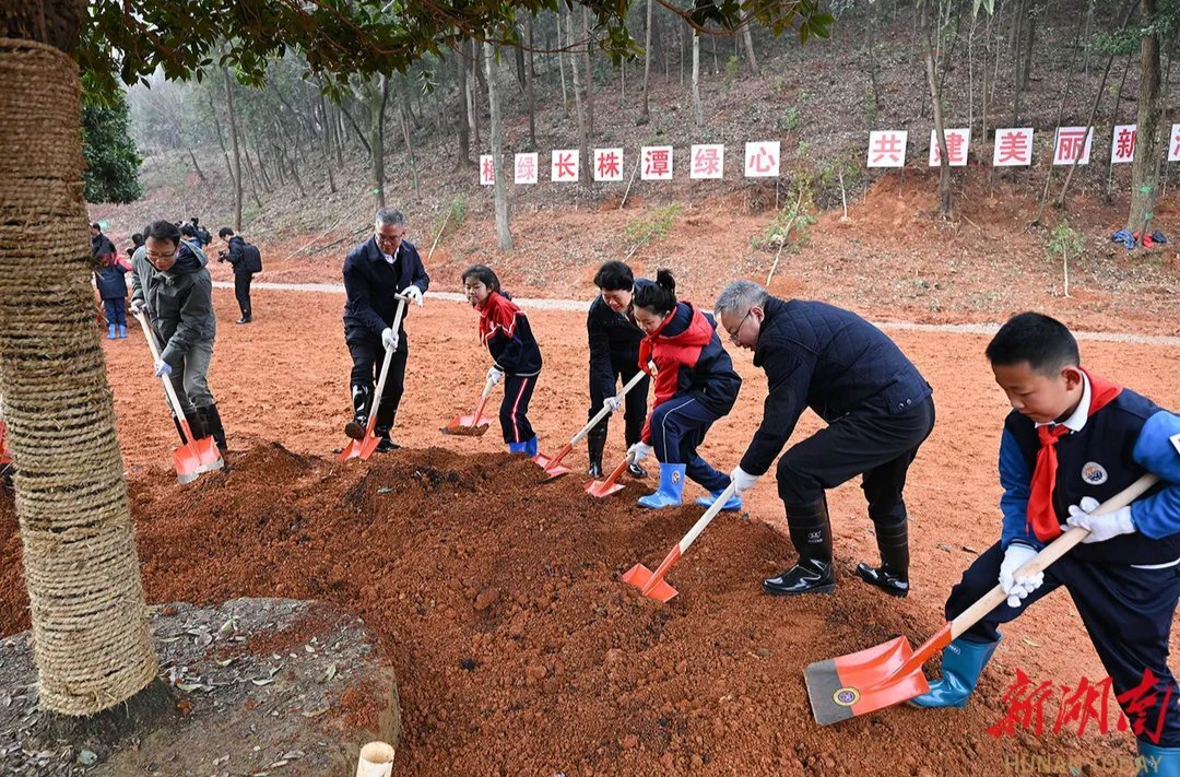 2025年全省集中义务植树活动举行 沈晓明毛伟明参加