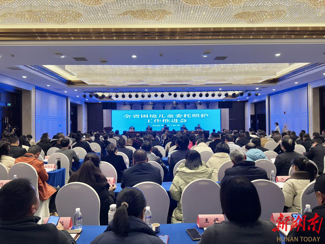 全省2025年示范儿童主任业务暨困境儿童委托照护工作培训会圆满举行
