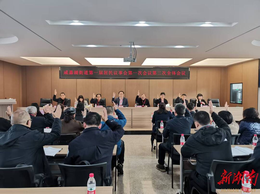咸嘉湖街道第一届居民议事会第一次会议召开