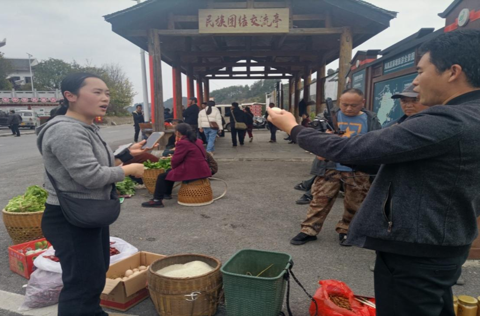 凤凰县菖蒲塘村猕猴桃认领架起乡村振兴桥