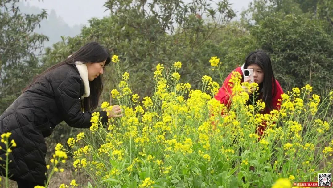 旅发宜章进行时 | 遇见可岩可田 开启野奢之旅