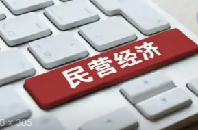 2024年湖南民營(yíng)經(jīng)濟(jì)GDP占比68.8%，增速最高的市州是他