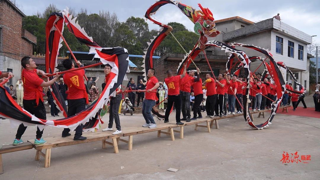 临武举行“二月二”龙祭民俗暨板凳龙展示活动