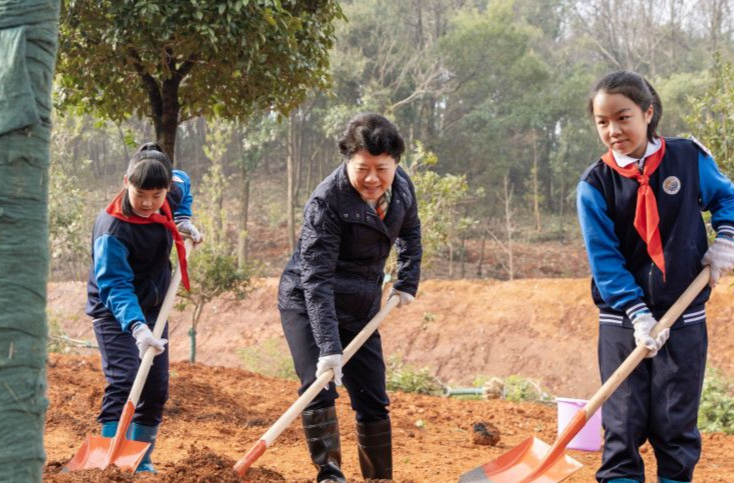 Changsha Municipal Leaders Participate in Voluntary Tree-planting Activity