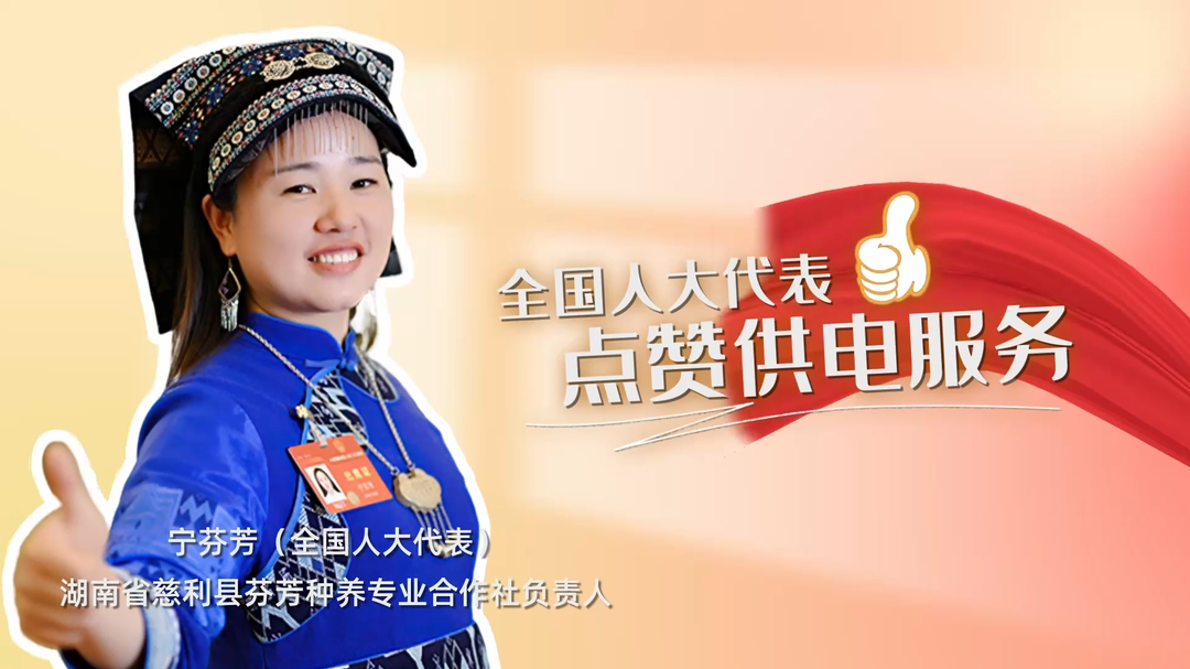 人大代表點贊國網(wǎng)湖南電力東方紅（張家界）共產(chǎn)黨員服務(wù)隊：“三零三省”優(yōu)服務(wù) 賦能春耕產(chǎn)業(yè)興