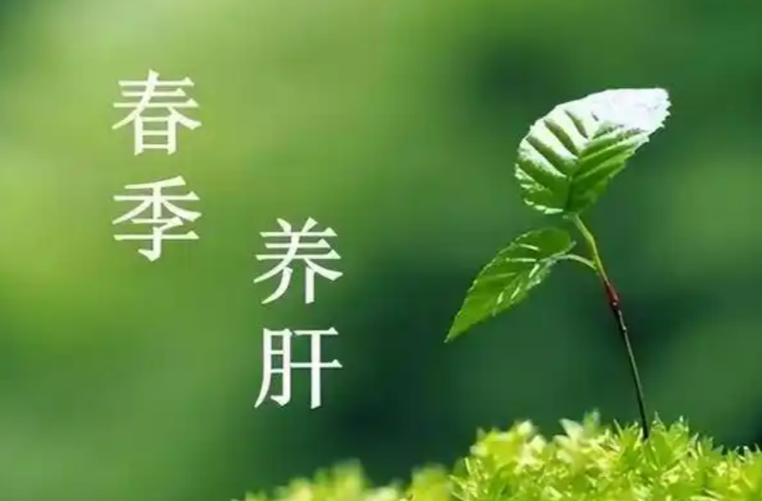 “春养肝，病不沾”！常用3个“护肝大救星”，血管通畅有活力，舒肝活血神气足