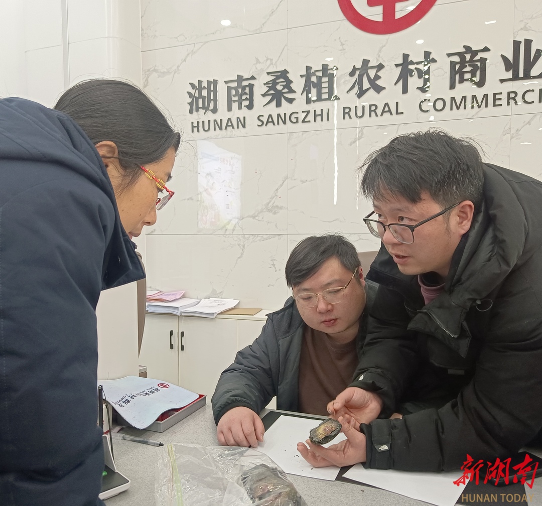 張家界市人民銀行暖心服務(wù)成功兌換2300元“火燒幣”獲贊譽