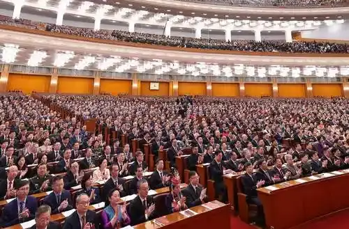 代表委员的建议能被采纳吗？
