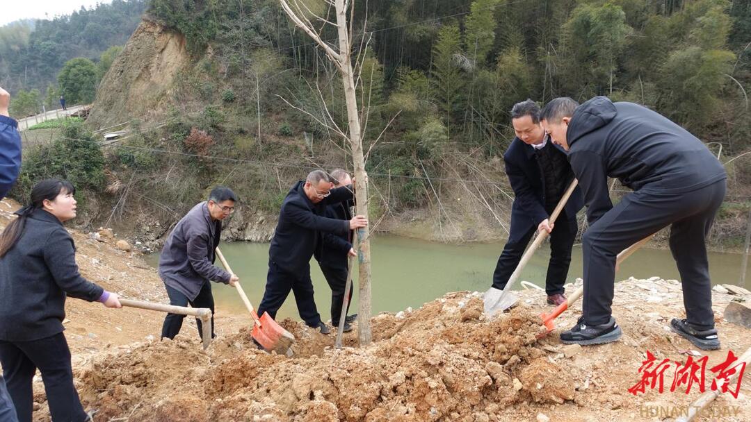 双峰县财政局：植树造林大地添绿
