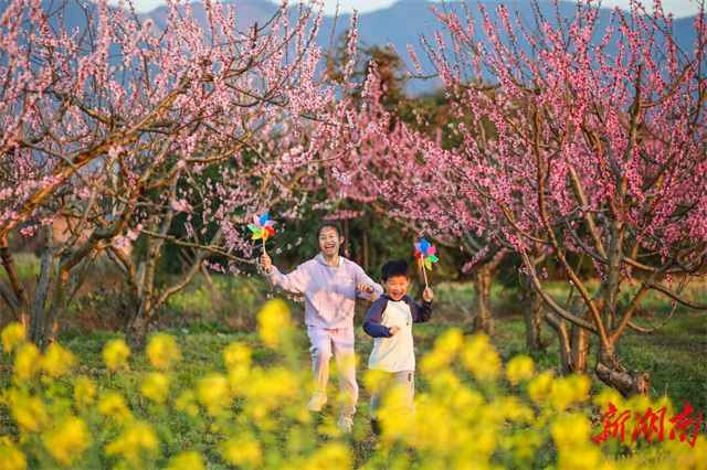 Spring Flowers Enchant People Across Hunan