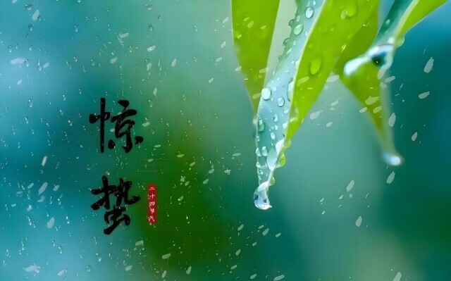 惊蛰丨万物复苏，百病易出，养生防病正当时